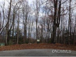 151 Brown Bear Ridge Trail