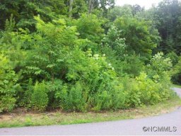 49 Timber Moss Dr Lot 41