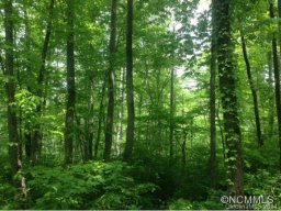 Lot 14 Old Tannassie