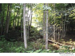 Lot 48 Off Boys Camp Road