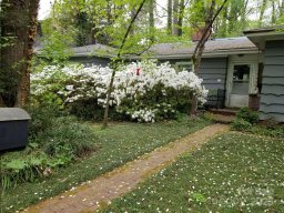 133 Wonderwood Drive