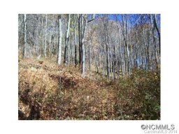 Lot 334 Living Good Lane