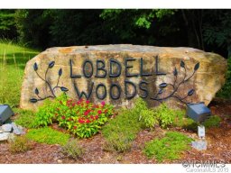 Lot 37 Fern Cove Lane