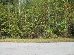 160 N Ridgeview Hill Drive