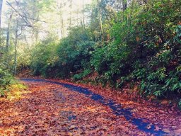 00 Dogwood Mountain Road