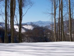 99999 Sunset Falls Drive