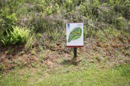 463 Patton Mountain Road