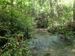 Lot 2 Steel Creek Road