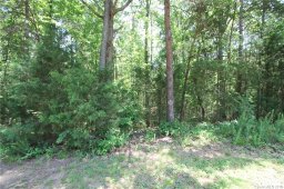 7641 Setter Trace Lane