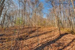 527 Overlook Park Drive