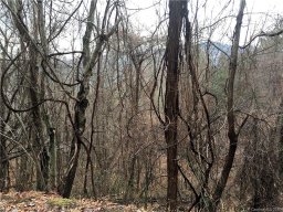 99999 Little Creek Drive