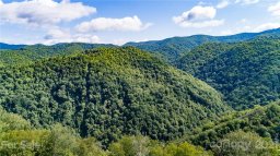 0000 Bearwallow Ridge Trail