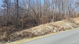 Lot 375 Rolling Ridge Trail