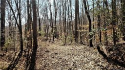 0000 Hemlock Falls Drive