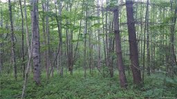 Lot 19 Little Creek Lane