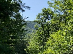 106 Emerald Cove Court