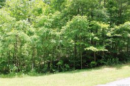 Lot 8 Rambling Trail