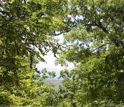 999 Prospectors Trail