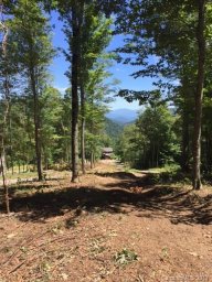 174 Olivia Loop Drive