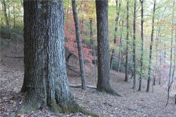 9999 Shining Rock Path