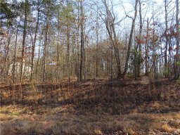 Lot 28 Forest Creek Drive