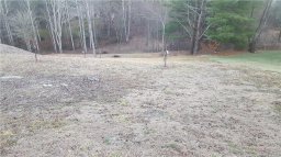 3008 Hickory Nut Trail