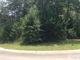 206 Winding Creek Drive