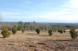 999 Preservation Trail