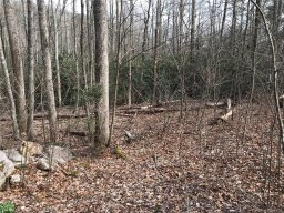 914 Wash Freeman Road