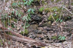 Lot 25 Bear Rock Loop Road