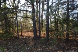 1725 W Left Fork Run Road