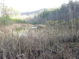 0 Cane Creek Mountain Road