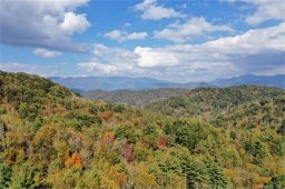 Vl306 Mountain Forest Estates None