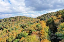 Vl313 Mountain Forest Estates None