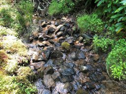 Lot 18 Marshall Lake Road