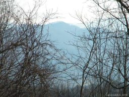 16 Buckeye Haven Road