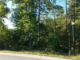 732 Misty Arbor Ford