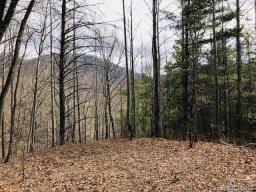 129 Silver Creek Springs Drive