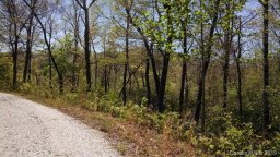 Vl Lot 18 19 Crooked Creek Estates Dr