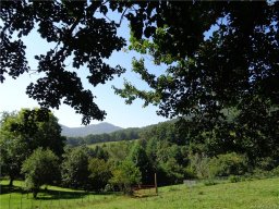 51 Morning Star Drive