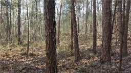 00 E Sandy Ridge Road