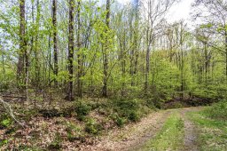 Lot 64 Big Springs Trail