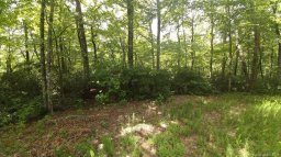 Lot 10 Crooked Creek Estates