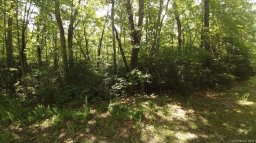 Lot 12 Crooked Creek Estates