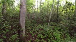 Lots 16 17 Crooked Creek Estates