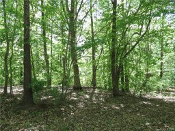 29 General Griffith Circle