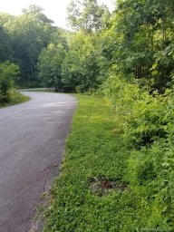 Lot 25 Fern Cove Lane