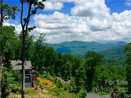 44 Curtain Bluff None