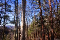 Lot 58 Turkey Spur Road