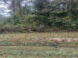 Lot 27 Grand Oaks Drive